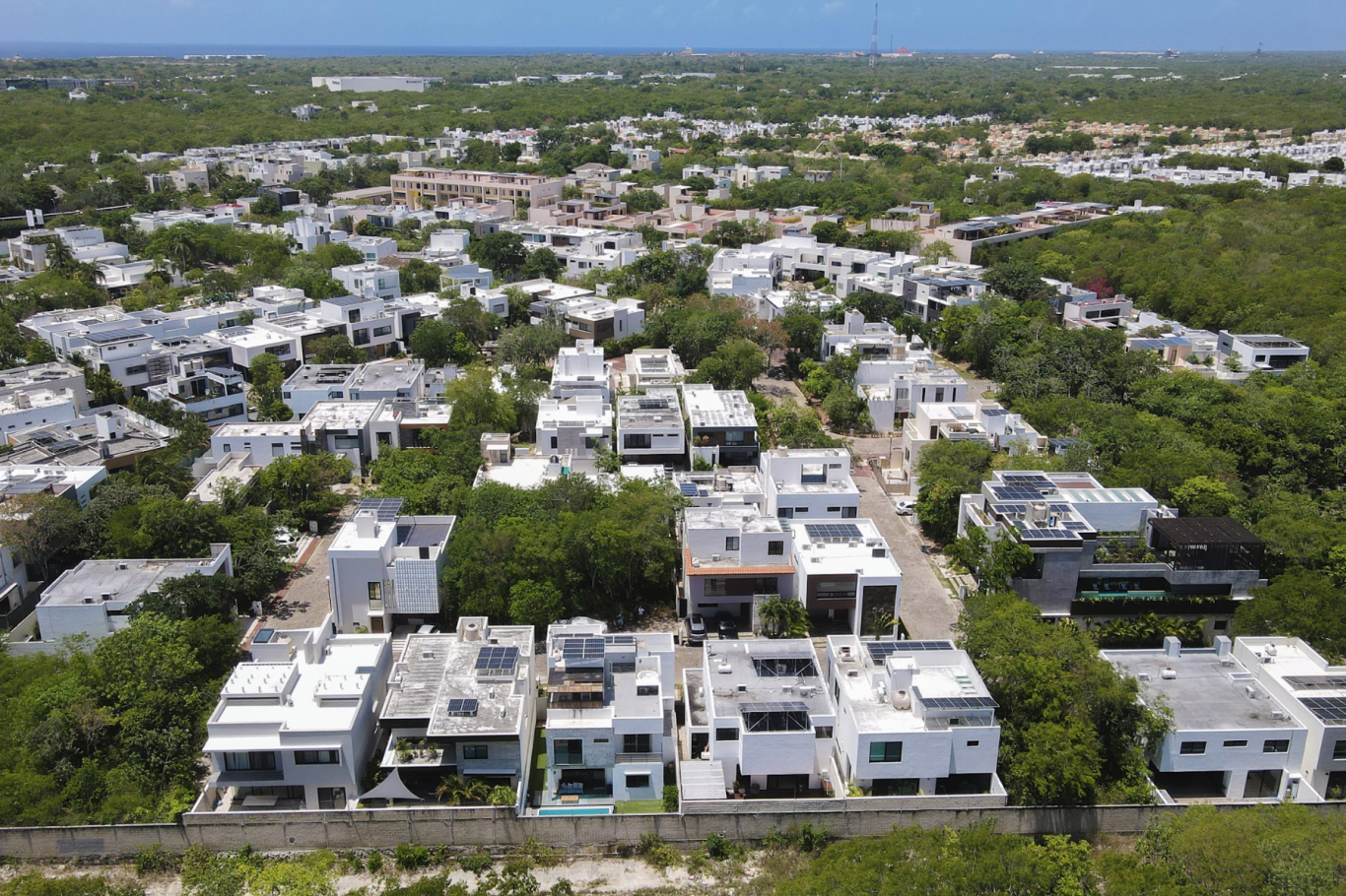 Bosques de Bambú 4