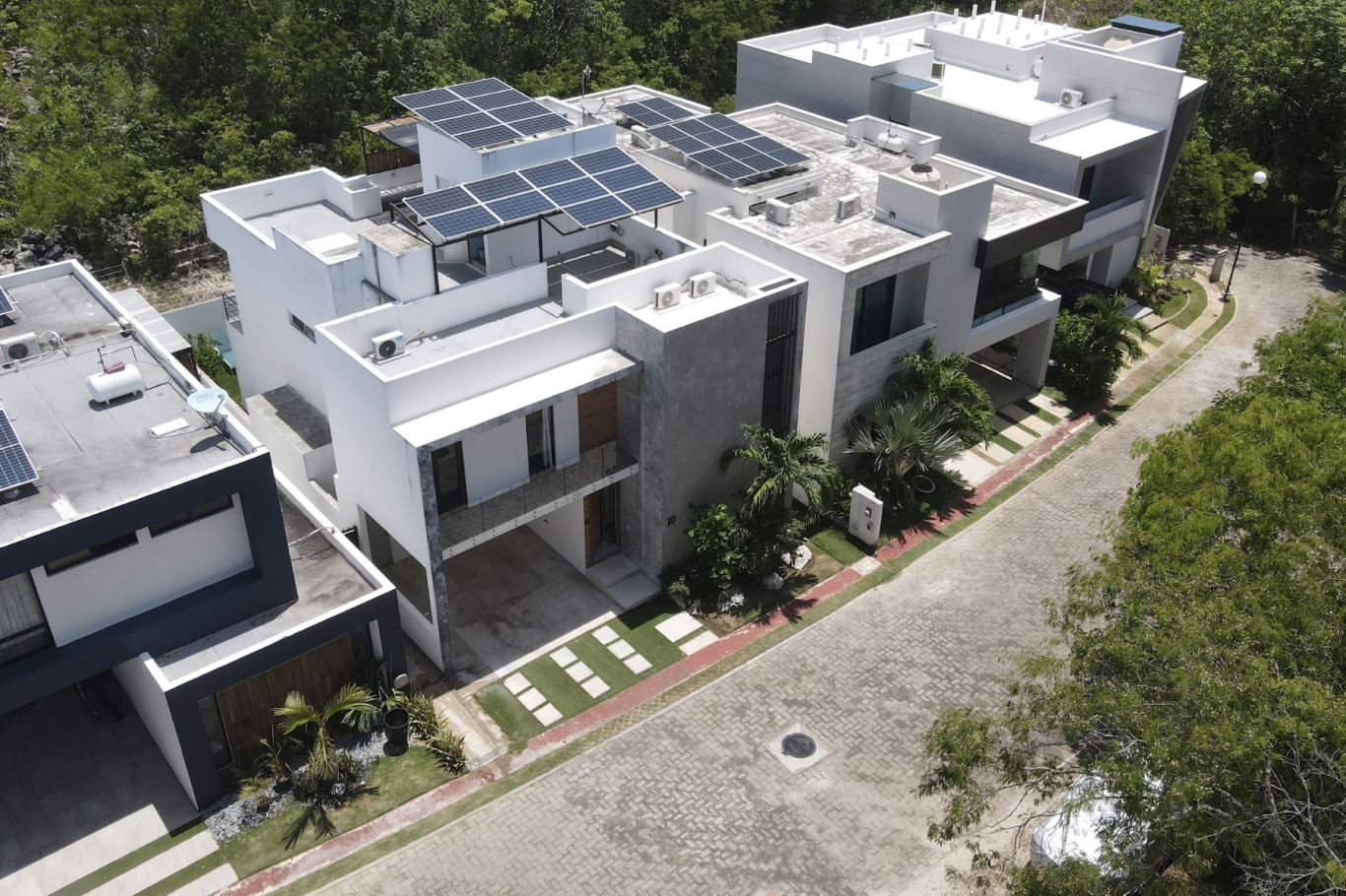 Bosques de Bambú Drone